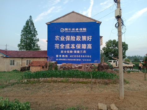 衡东墙体广告为何受追捧？